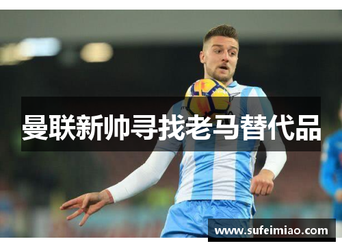 曼联新帅寻找老马替代品