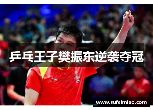 乒乓王子樊振东逆袭夺冠