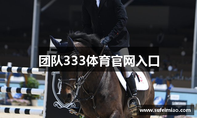 团队333体育官网入口